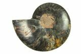 Cut & Polished Ammonite Fossil (Half) - Unusual Black Color #296300-1